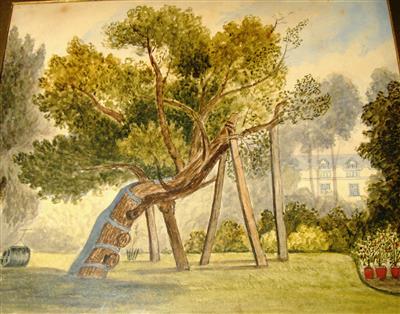 cc00244 mulberry tree.jpg; cc00244; Mulberry tree; painting